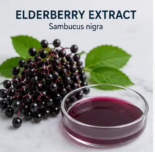  Herpafend ingredient Elderberry Extract